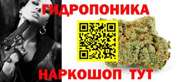тгк Краснодар