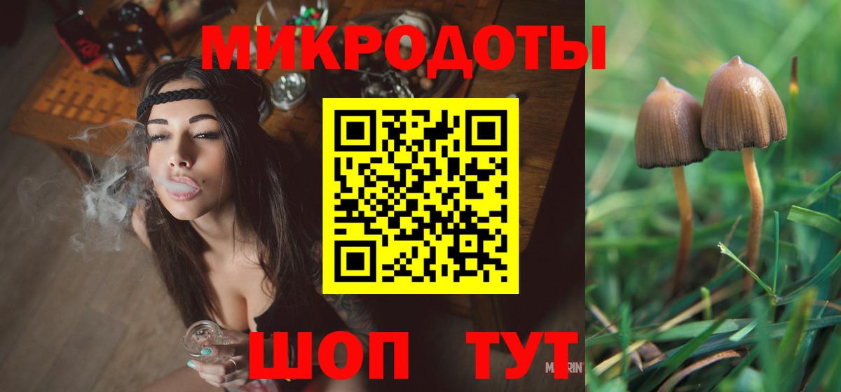 Галлюциногенные грибы Psilocybe Елизово