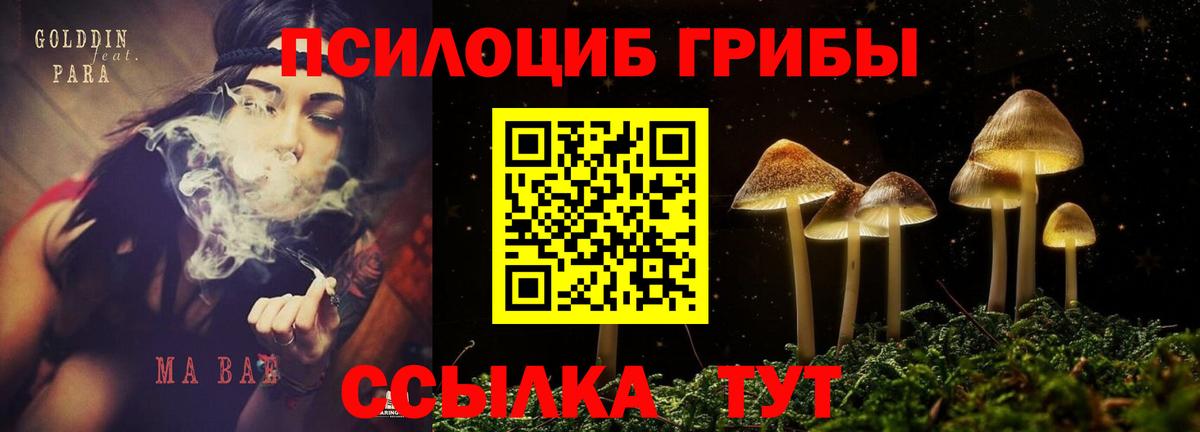 Галлюциногенные грибы Magic Shrooms  Псилоцибиновые грибы Cubensis  Вход с VPN  Елизово 