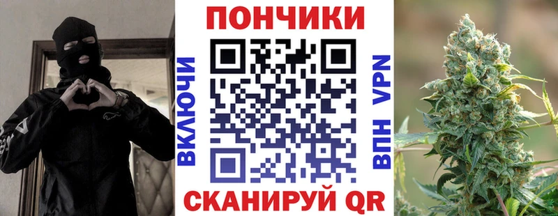 Канабис SATIVA & INDICA  цены наркотик  Елизово 